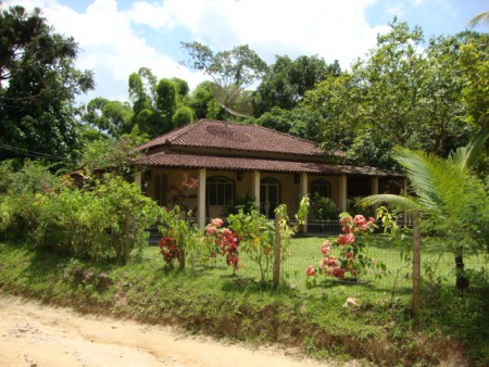 SITIO - PRODUÇÕES DIVERSAS - 2 Alqueires